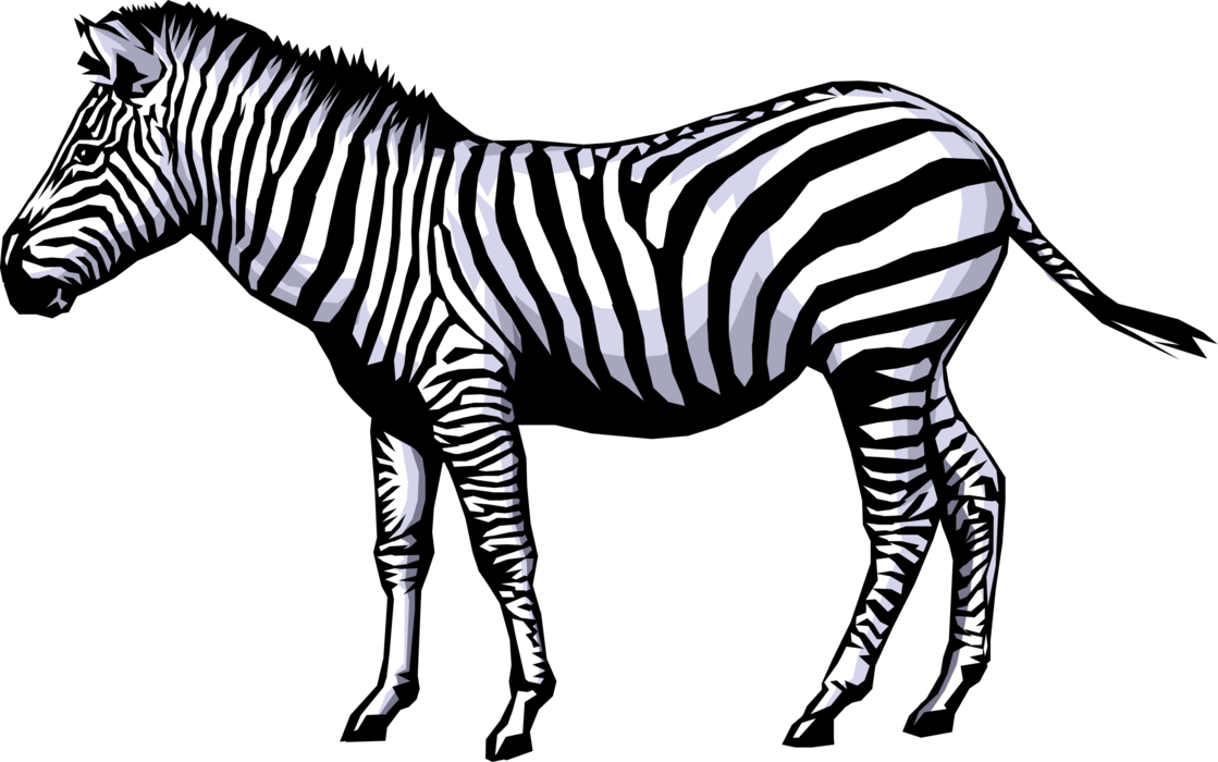 Zebra Clipart Full Hd - Zebra Clip Art (1119x700)