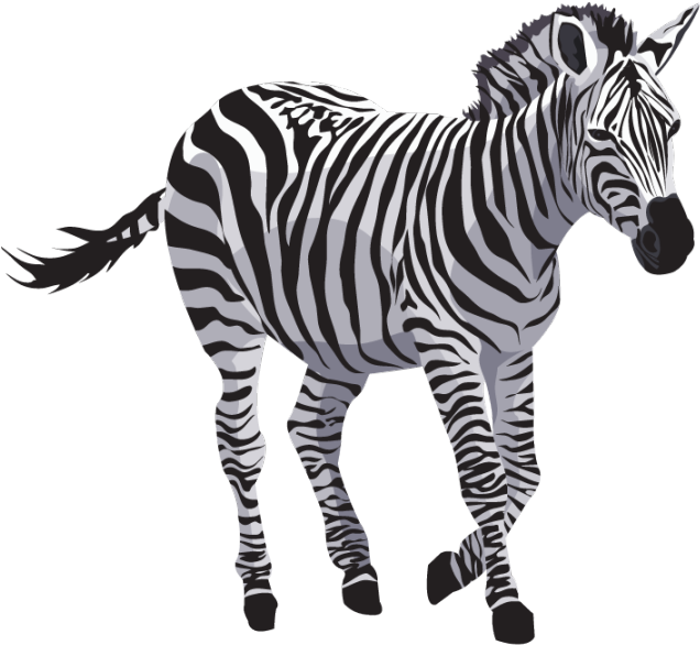 Zebra Png File - Jk Max A4 Paper (640x593)