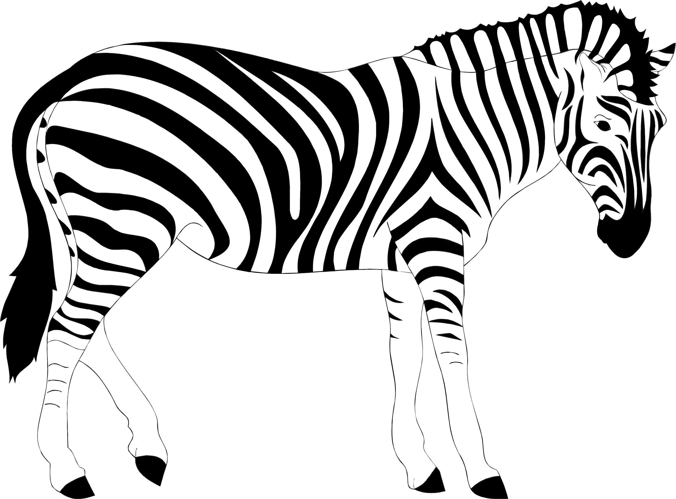 Zebra Clipart Realistic - Zebra Illustration (2254x1664)
