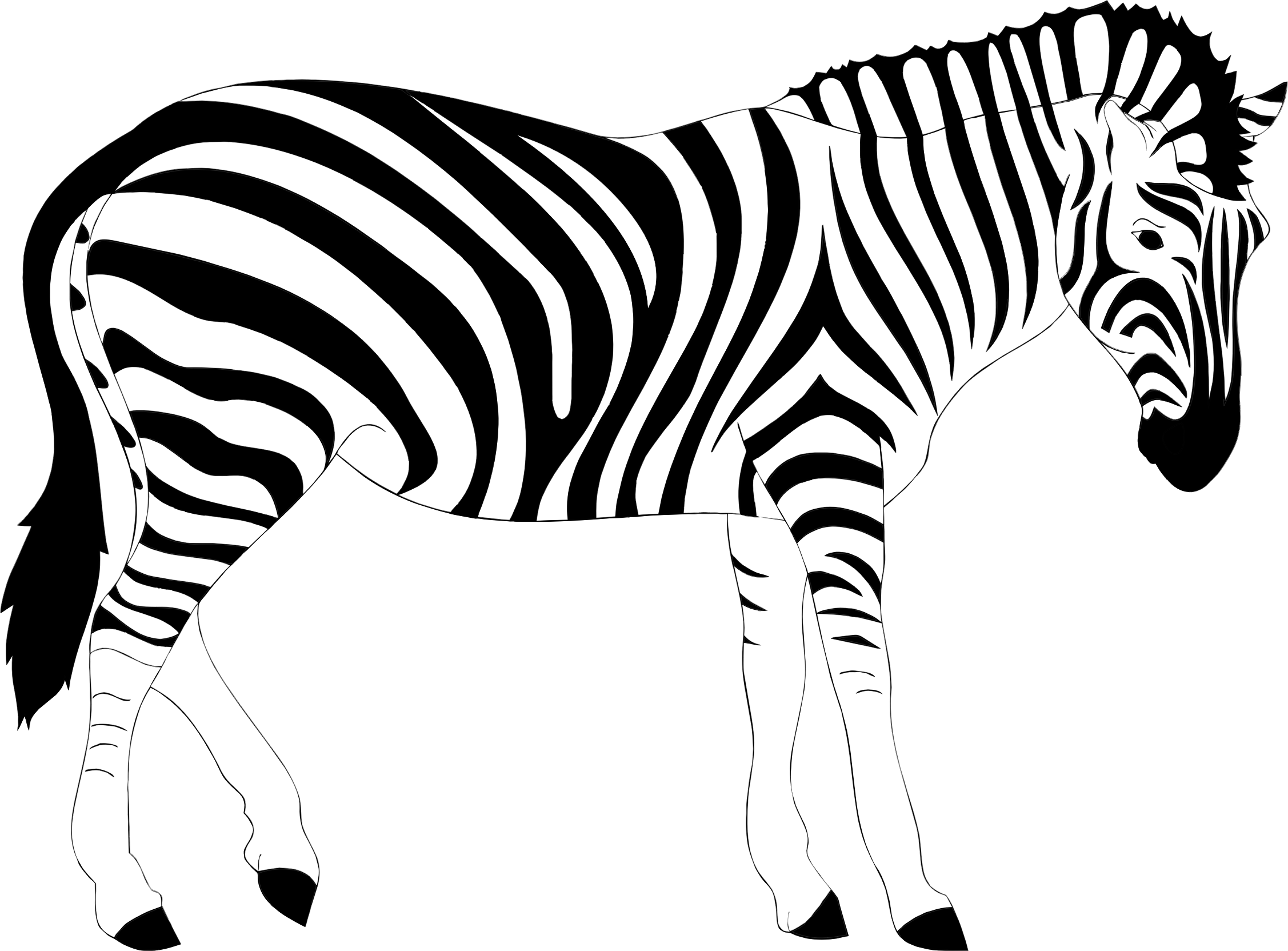 Zebra Clipart Realistic - Zebra Illustration - (2254x1664) Png Clipart