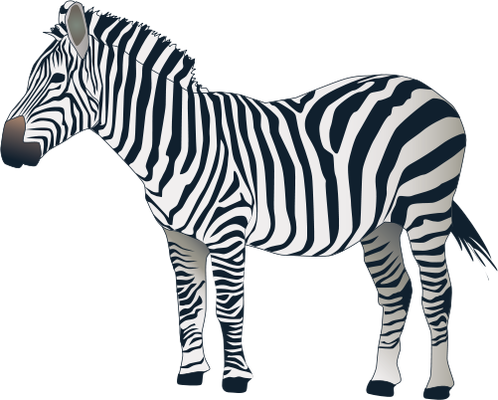 Baby Zebra Clip Art Clipart - Зебра Пнг (498x400)