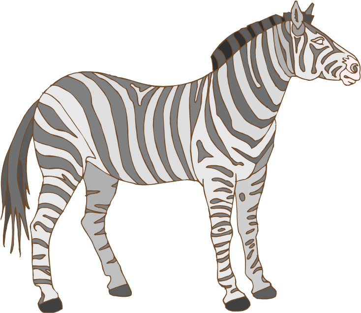 Black And White Zebra - Zebra Clipart (750x650)