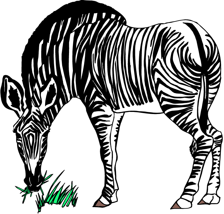 Download - Zebra Eating Grass Clipart (750x717)