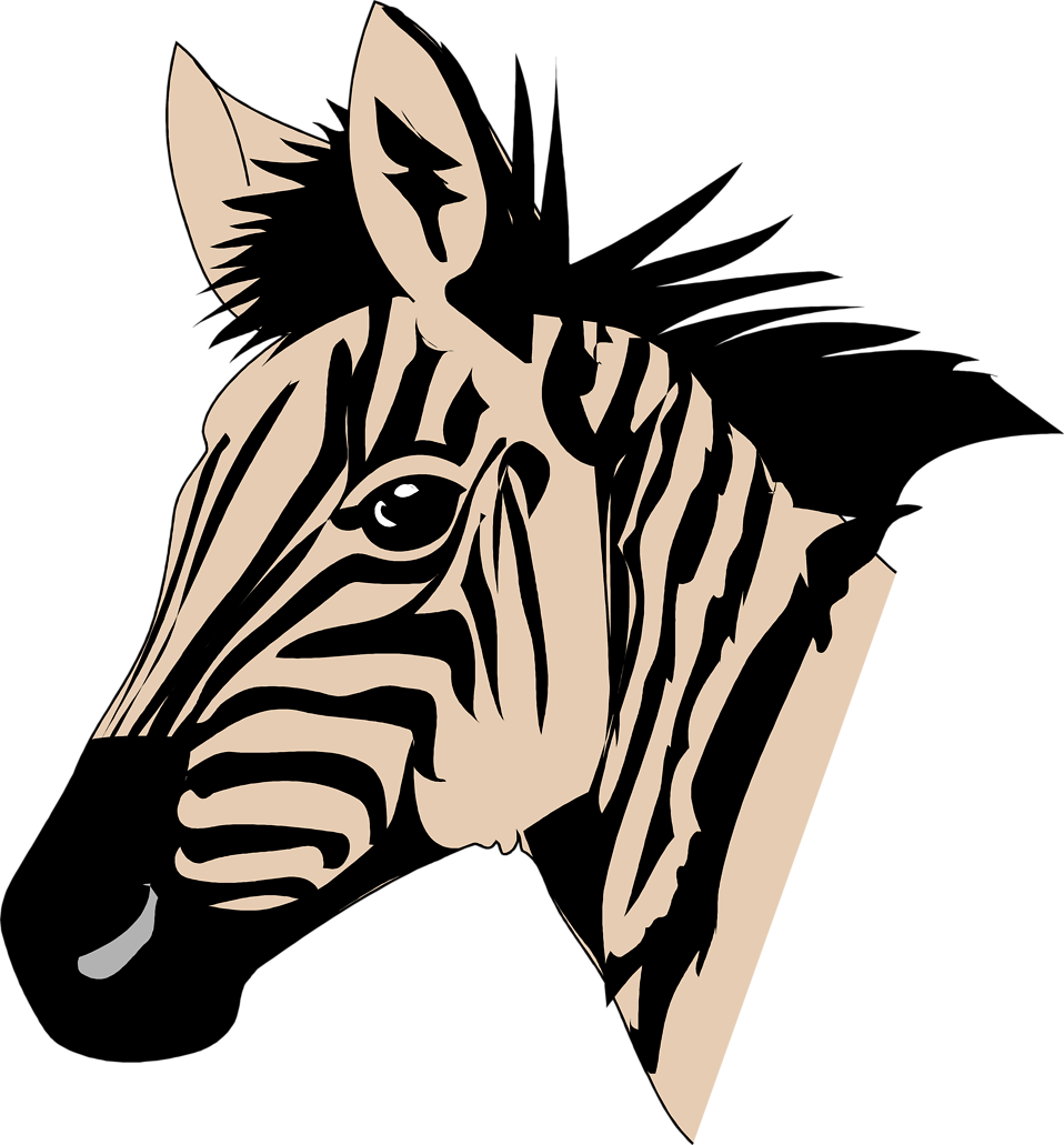 Zebras Free Stock Photo Illustration Of A Zebra Head - Zebra [1] Shower Curtain (958x1031)