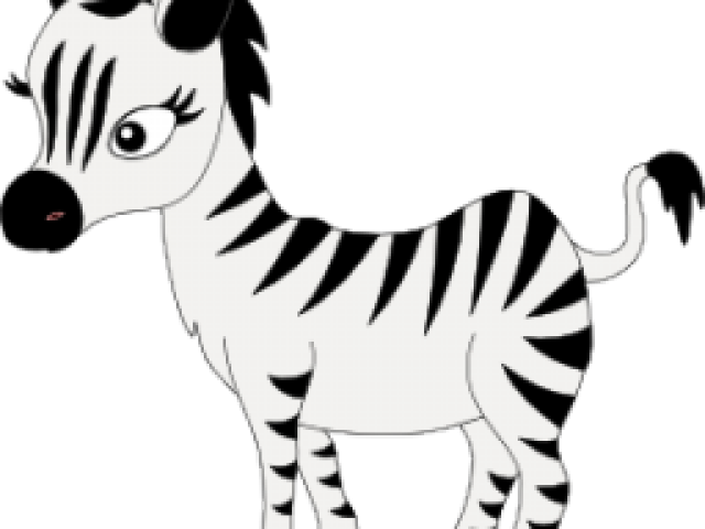 Baby Zebra Clipart - Zebra (640x480)