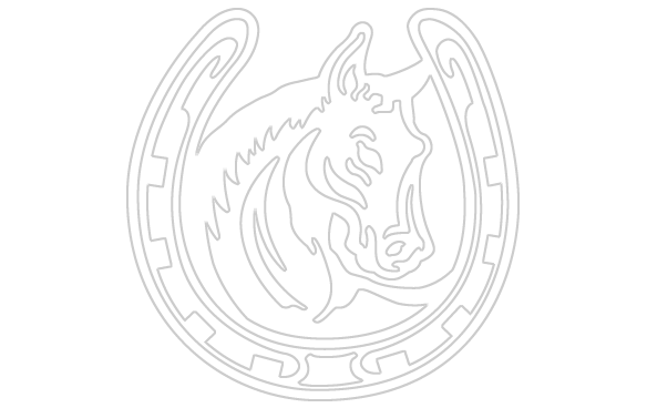With Horseshoe Sticker - Horses With Horseshoes Drawing (584x368)