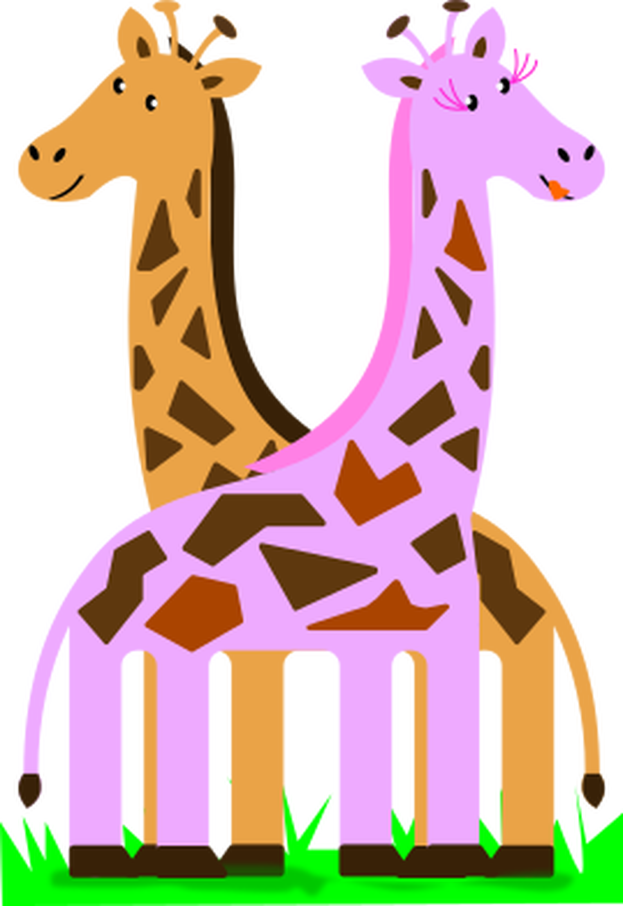 Animals Male And Female Clipart (900x1308)