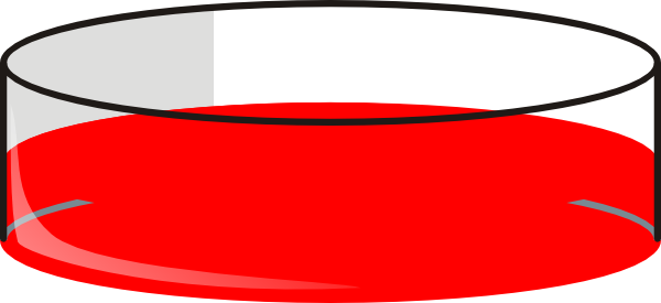 Red Petri Dish Clip Art - Clip Art (600x275)