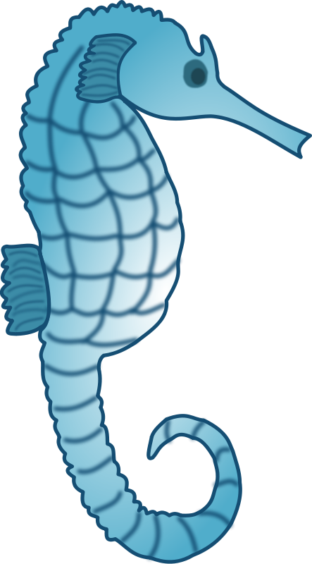 Sea Clip Art - Sea (443x800)