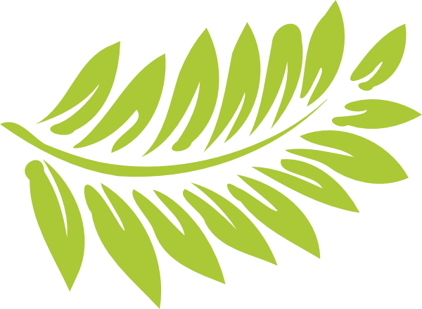Leaves Clipart Ferns - Hibiscus Clipart (600x439)