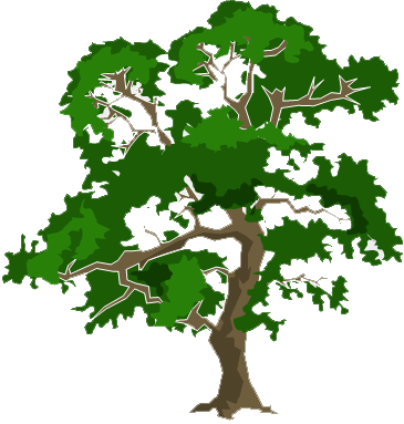 Tree Identification - Vrukshavalli Amha Soyari Vanchare (365x383)