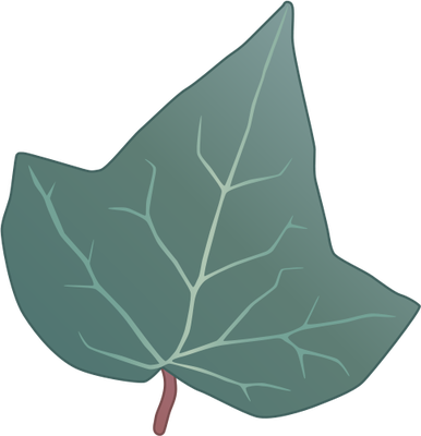 Drawn Leaf Ivy Leaf - Ivy Leaf Vector (386x400)