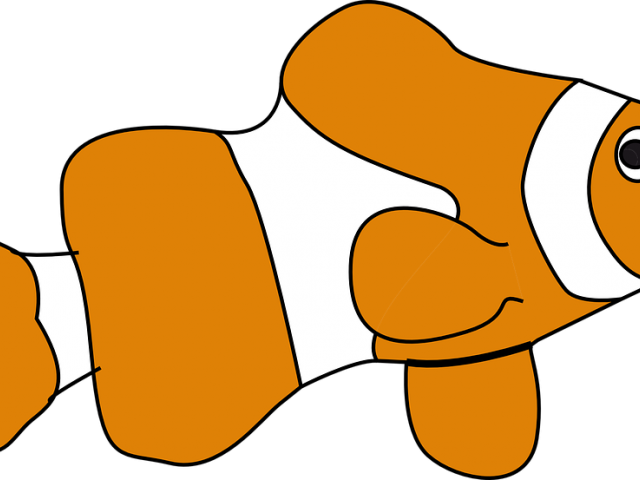 Marine Fish Clipart Nemo Fish - Clown Fish Shower Curtain (640x480)