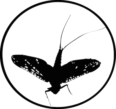 S - C - O - F Store - Fly Fishing (400x377)