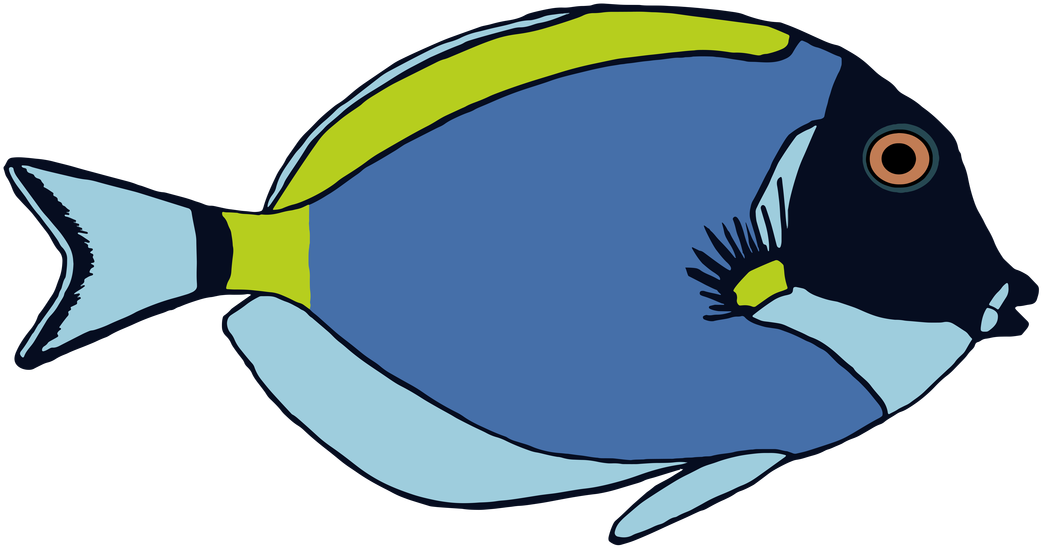 Powder Blue Tang - Powder Blue Tang (1100x562)