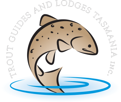 Trout Guides And Lodges Tasmania - Trout (406x342)