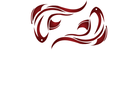 Don't Be Shy, Koi Fish Don't Bite - Graphic Design (554x366)