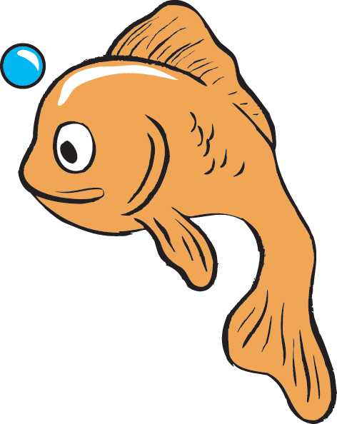 Fish Face - Goldfish (472x594)