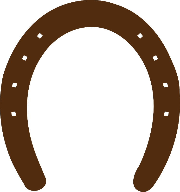 Horseshoe Clip Art - Fer À Cheval Vector (748x800)
