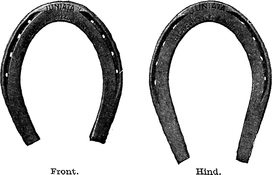 Horse Shoe Gold Horseshoe Clipart - Circle (1165x805)