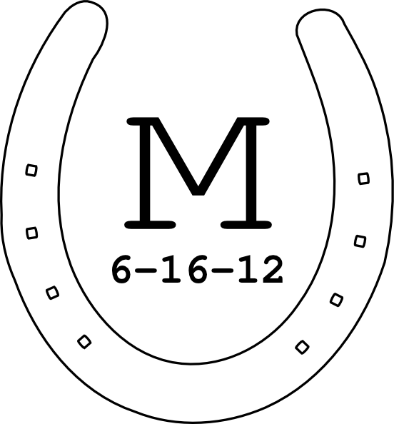 White Horseshoe Png (552x594)