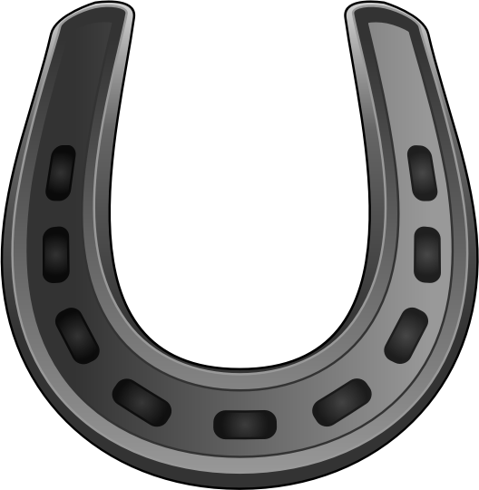 Medium Image - Horse Shoe Transparent (528x540)