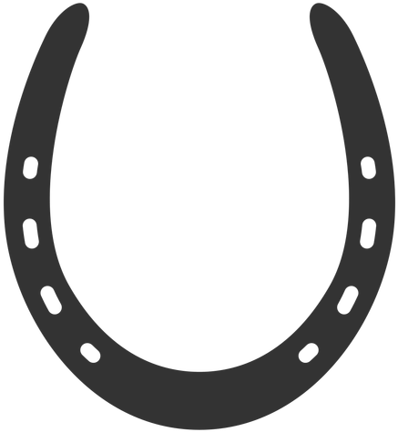 Common Horseshoe Silhouette - Horseshoe Clip Art Png (512x512)