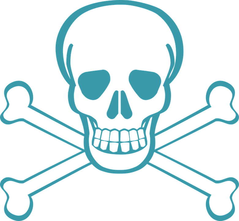 Death Clipart Bone - Skeleton Face Clipart (781x720)