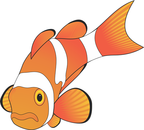 A List Of Design Ideas That You Can Use To Customize - Orange Fish Vector (500x452)