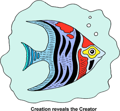 Angelfish Clipart Transparent Fish - Clip Art (400x371)