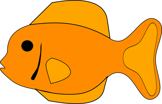 Fish Orange Animal Tropical Aquarium Fish - Fish Clipart (532x340)