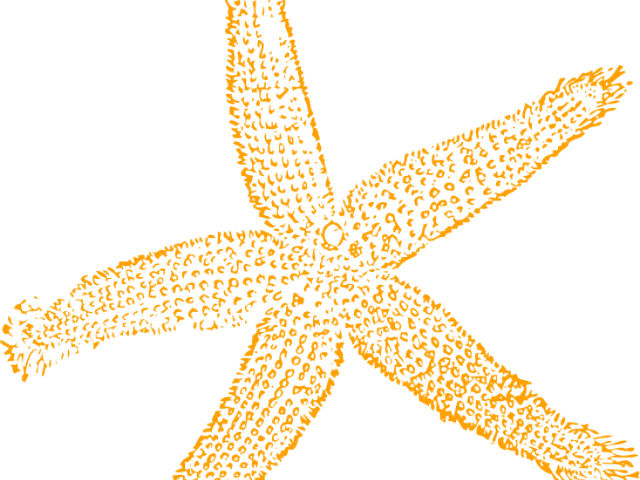Starfish Cliparts Free - Fish Clip Art (640x480)