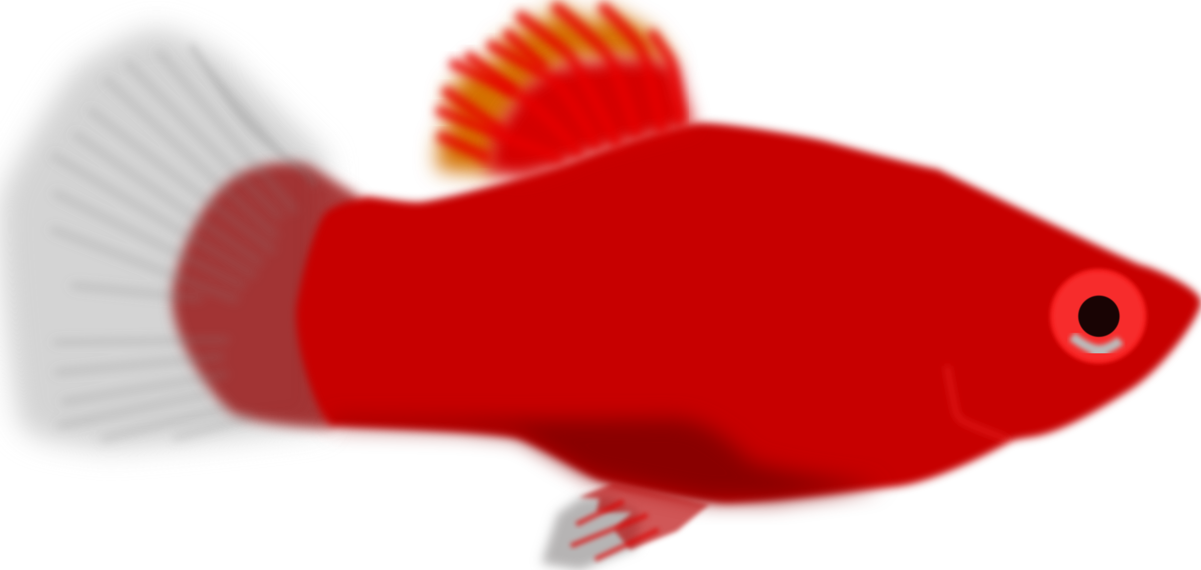 Aquarium Fish - Red Fish Clip Art (2400x1139)