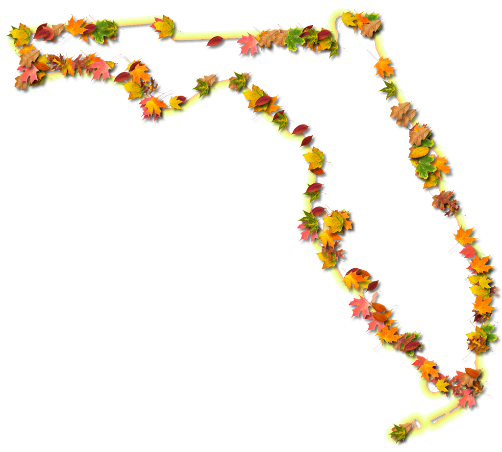 Florida "fancy Frame" Style - Florida Fall Leaves (1024x922)