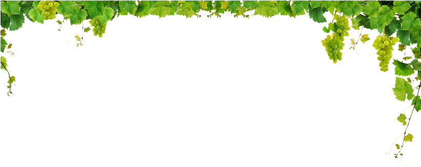 Grape Leaf Cliparts - Air Diffuser For Essential Oils In Dubai (820x346)