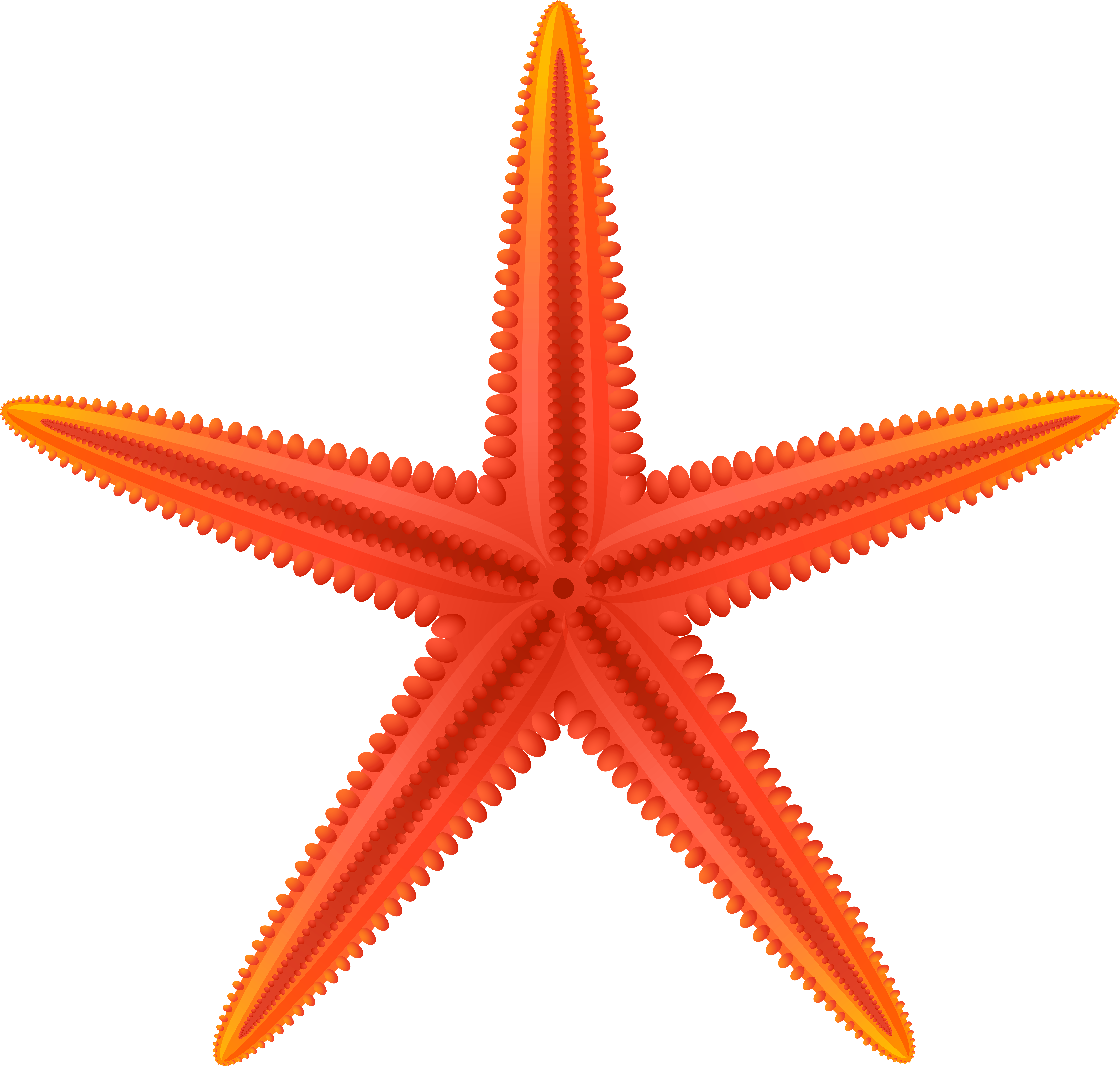 Red Starfish Png Clip Art - Red Starfish Png Clip Art (8000x7627)