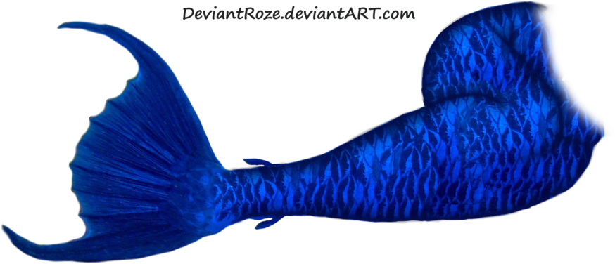 Mermaid Tail Png Picture - Dark Blue Mermaid Tails (900x474)