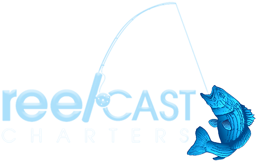 Reel Cast Charters - Swordfish (532x335)