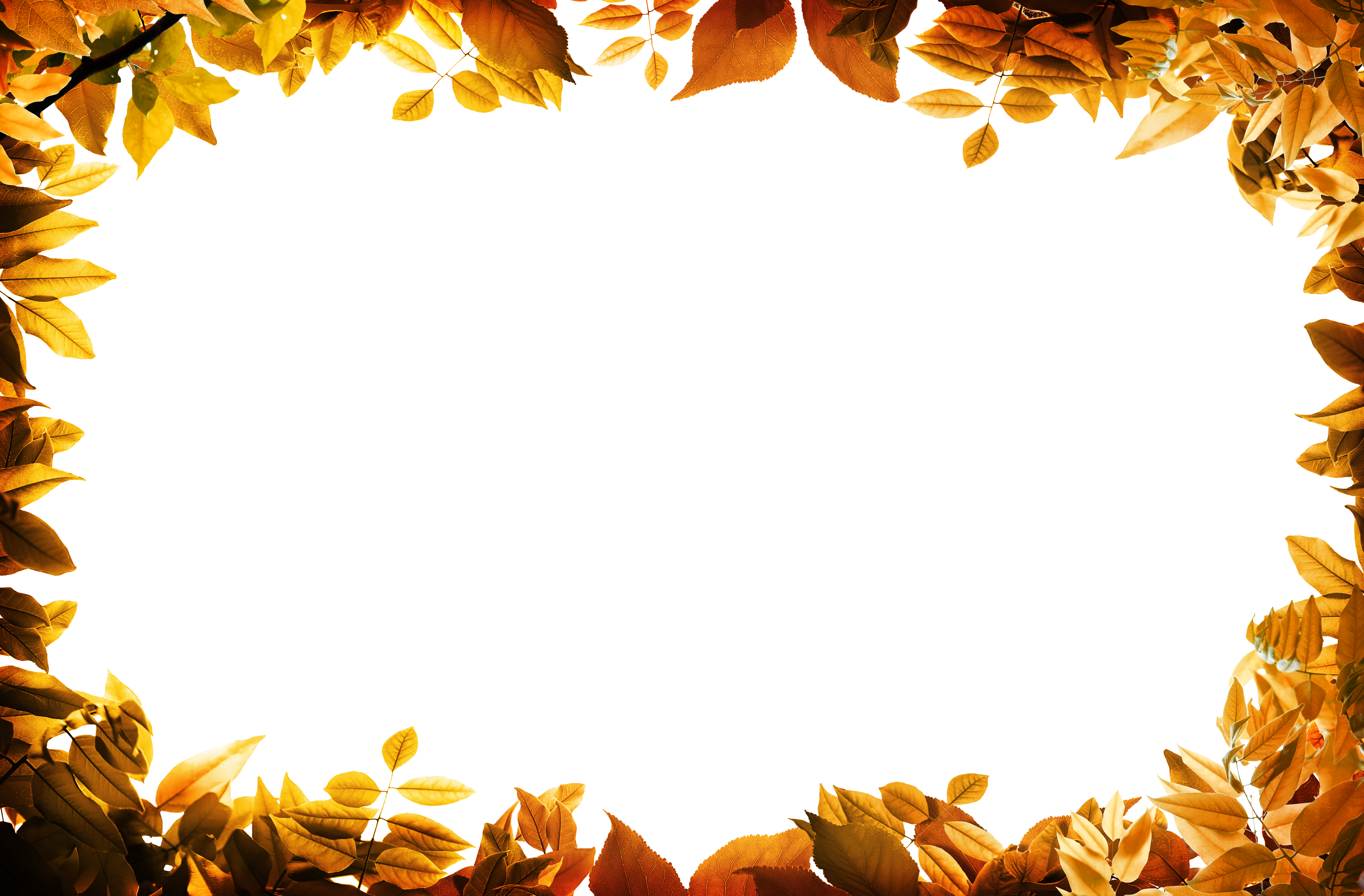 Film Frame Leaf Autumn Clip Art - Leaves Oarange Border Png (5000x3286)