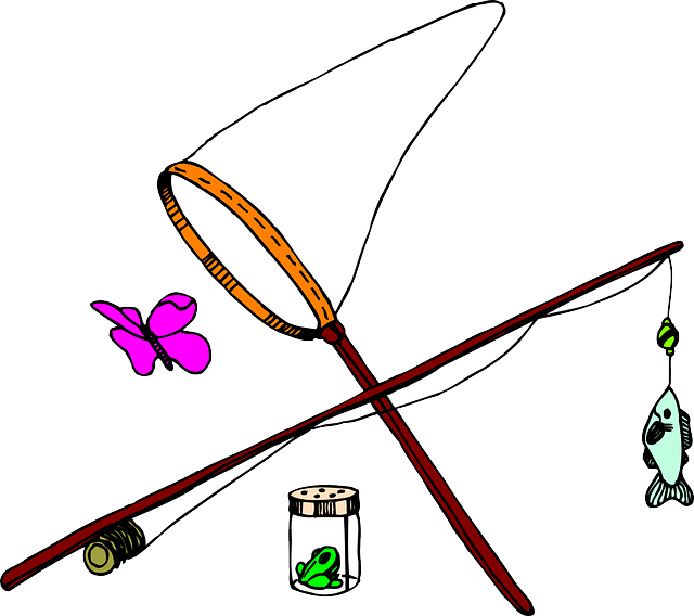 Fish, Net, Insect, Fishing, Jar, Pole - Bug Net Clip Art (640x568)