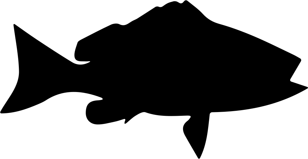 Fish Shape Of Blackfin Snapper Comments - Fish Silhouette No Background (981x508)