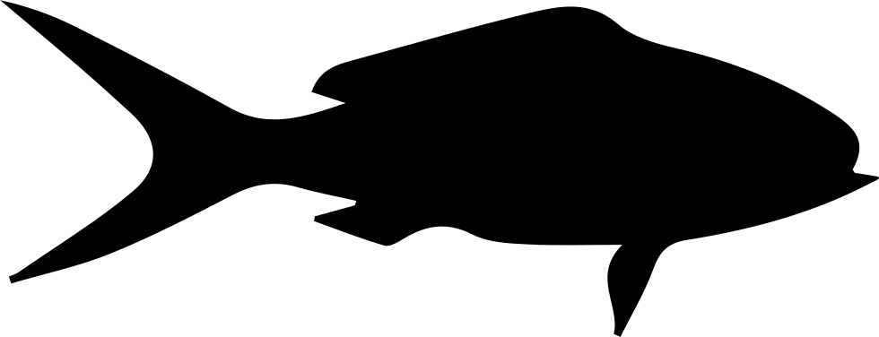 Fish Shape Of Queen Snapper Comments - Shape Of A Fish (980x376)