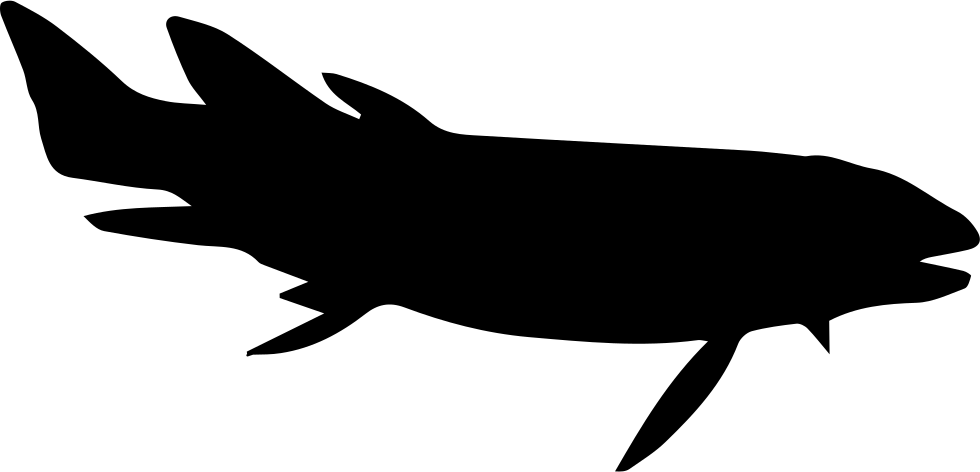 Fish Shape Comments - Shark (980x472)