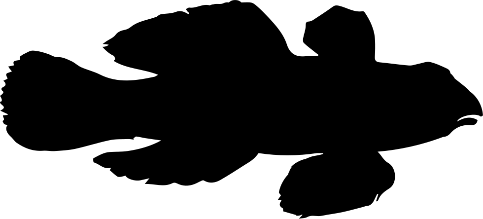 Fish Shape Of Dragonet Comments - Klavertje Vier Black White (980x444)