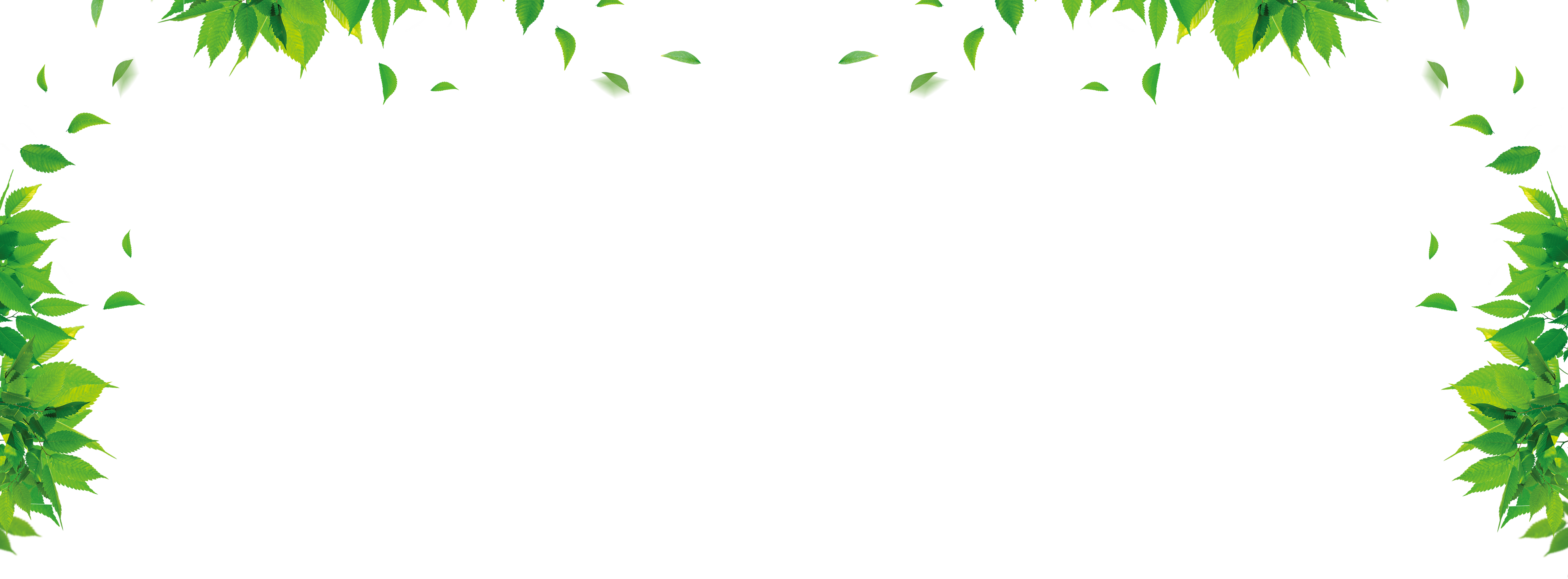 Leaf Graphic Design Green Floral Design Pattern - Green Leaves Border Design (7087x2619)