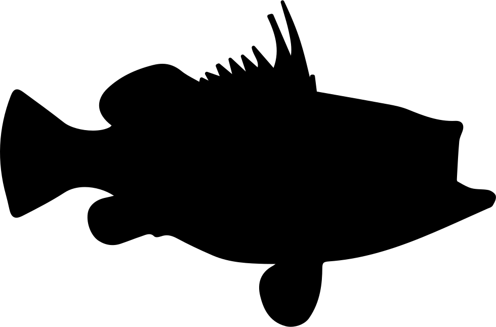 Rockfish Shape Comments - Cod Fish Silhouette (980x646)
