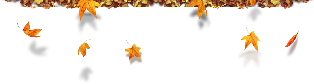 Autumn Header - Autumn Header Png (1038x279)