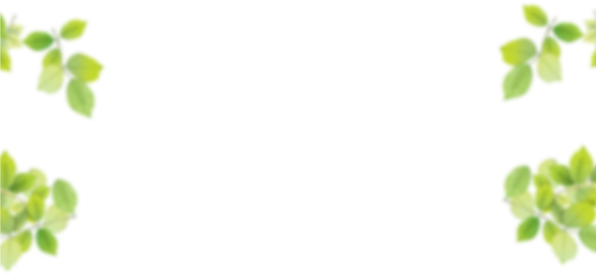 Leaves - White Background With Leaves Border Png (1920x918)