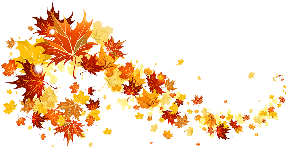 Fall Leaves And Pumpkins Border Png Download - Small Pictures Of Fall Leaves (1000x512)