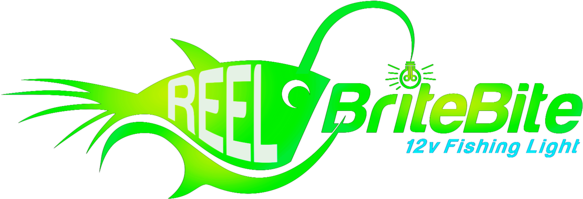 Underwater Fishing Light In Green And Blue To Attract - Underwater (1200x423)